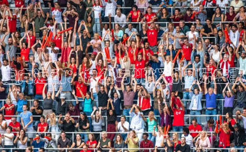 黄金城app最新版下载